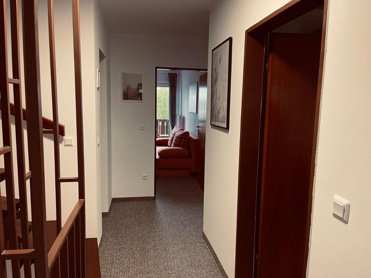 Ferienwohnung Bienenkorb 泽尔布 外观 照片